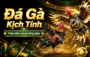 Sảnh Đá Gà gkfudao